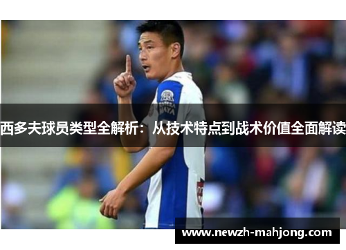 西多夫球员类型全解析:从技术特点到战术价值全面解读 西多夫球员类型全解析:从技术特点到战术价值全面解读