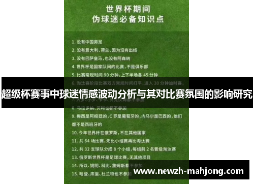 超级杯赛事中球迷情感波动分析与其对比赛氛围的影响研究